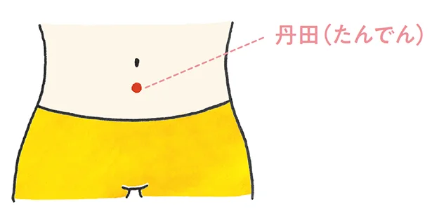 【丹田(たんでん)】おへそから指3~4本分下にあるツボ。体を温めてくれるほか、ここを意識して呼吸することでリラックス効果も。