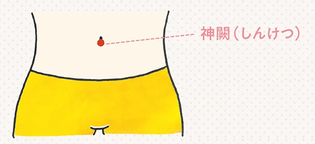 【神闕(しんけつ)】神闕はおへそのツボ。押さずに手を当てて温めれば、おなか全体がぽかぽかに。冷えからくる腰痛にも。