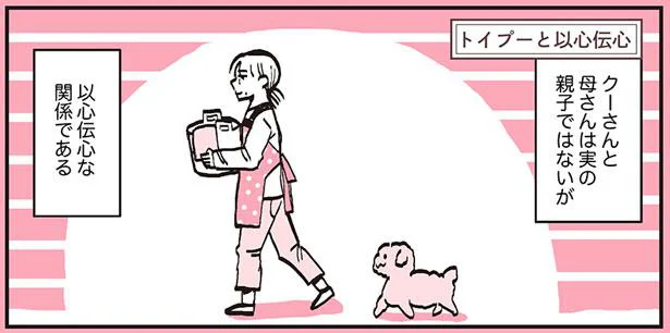 伝わる犬と、伝わらない人　うちのトイプーがアイドルすぎる。2（34）