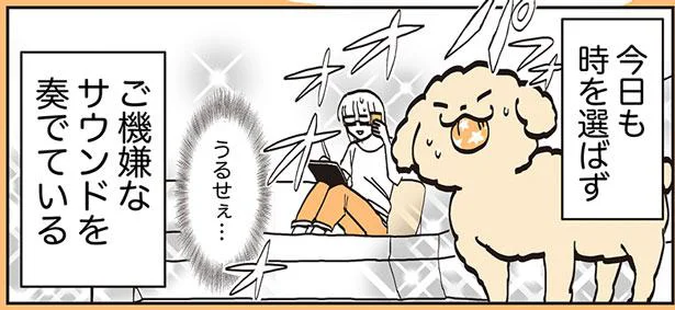 ご機嫌なサウンド　うちのトイプーがアイドルすぎる。2（37）