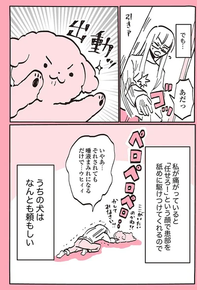 頼もしいクーさんの出動するとき