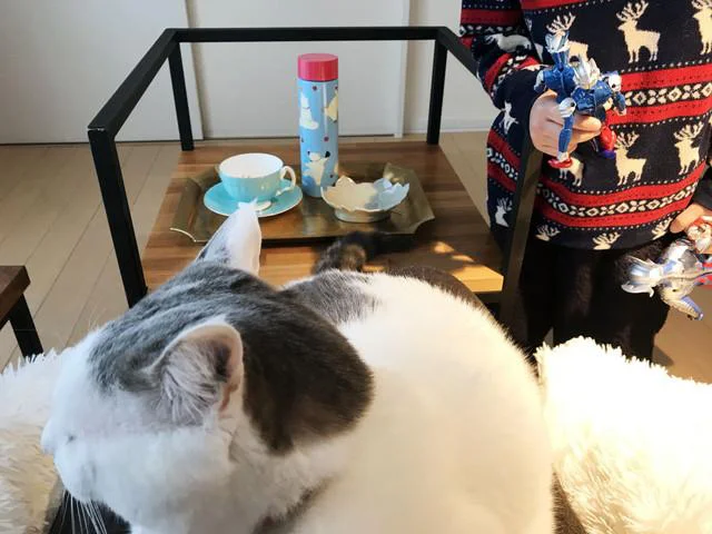 息子の起床でご褒美時間は終了!