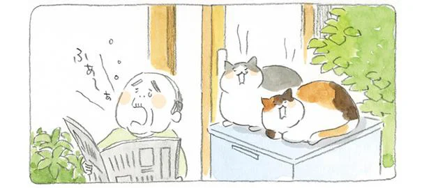 じいちゃん ね こと