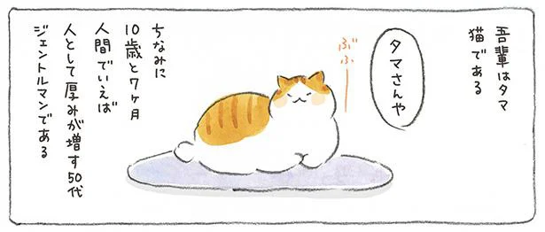 人間でいえば厚みが増す50代である
