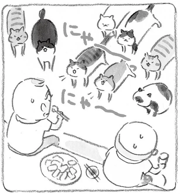 さしみ祭のはじまり