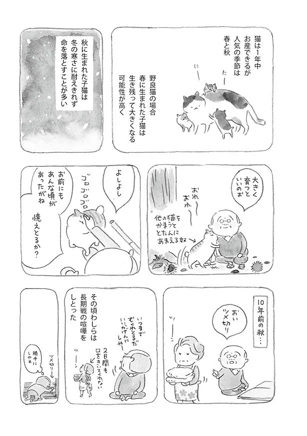 うちにきてくれてありがとう ねことじいちゃん 5 レタスクラブ