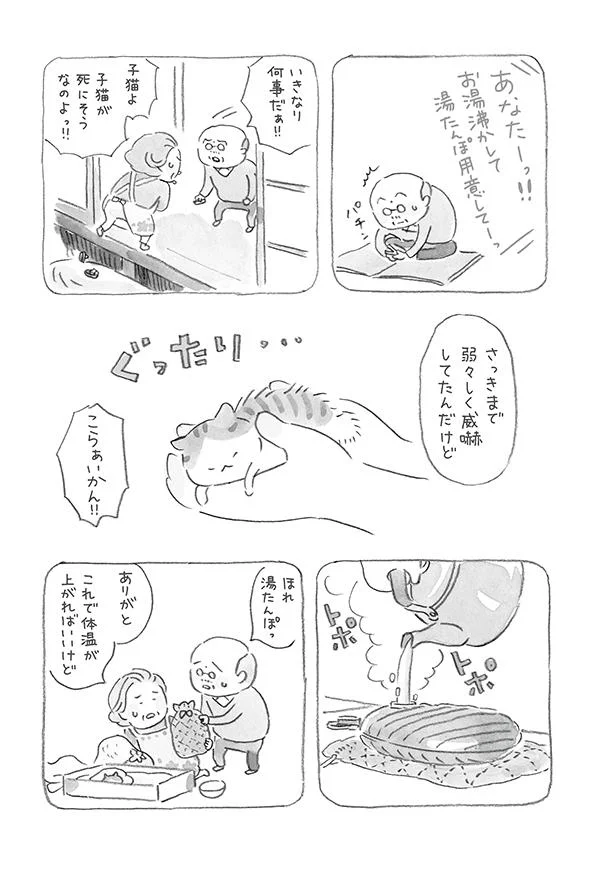 うちにきてくれてありがとう ねことじいちゃん 5 2ページ目 レタスクラブ