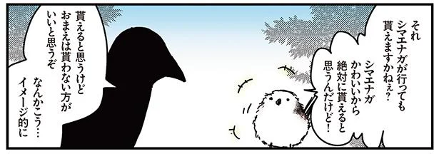 シマエナガのイメージ　シマエナガとカラスさん(3)