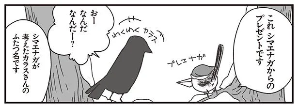 シマエナガが考えました!
