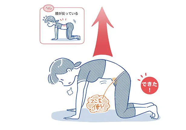 背中を丸める「よつんまる」　1分やせストレッチ(3)