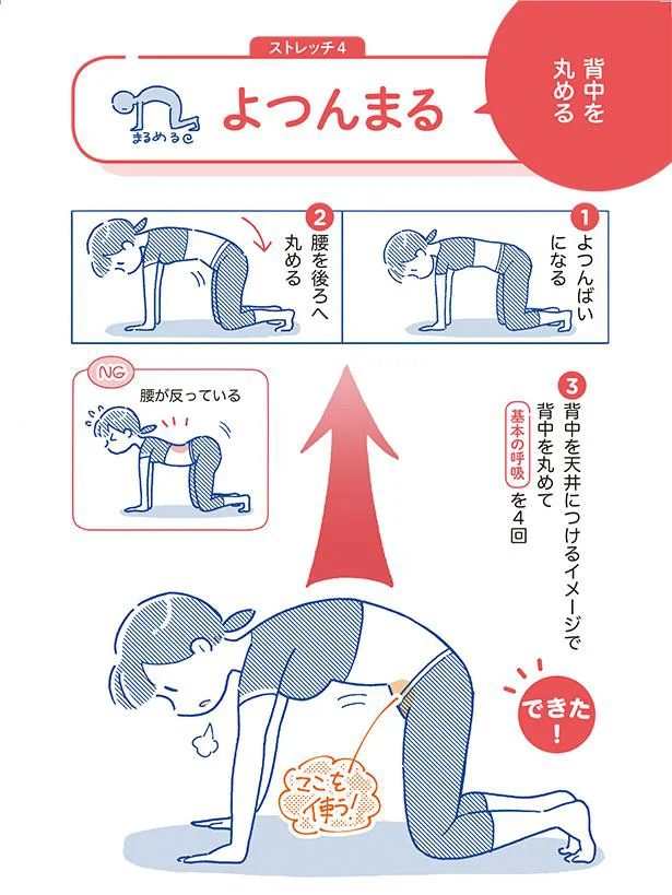 背中を丸める よつんまる 1分やせストレッチ 3 レタスクラブ 背中を丸める よつんまる 1分やせストレッチ 3 レタスクラブ