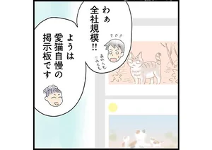 飼い猫がなつきません レタスクラブ