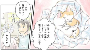 飼い猫がなつきません レタスクラブ 飼い猫がなつきません レタスクラブ