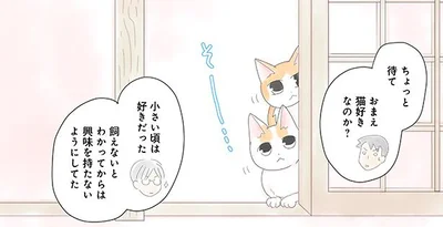 子猫をみてたら