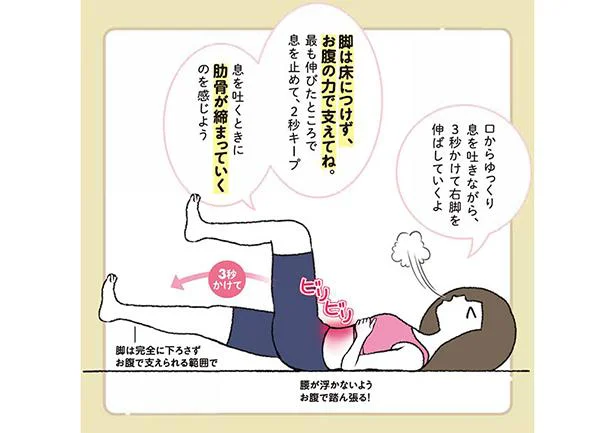 下腹部ぽっこり＆腰痛を改善「バイシクルデッドバグ」　姿勢リセットダイエット(5)
