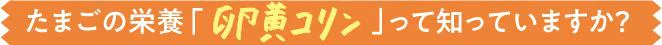 たまごの栄養「卵黄コリン」って知っていますか?