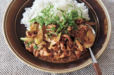 洋風のおかずにもマッチ「豆チ（トウチ）のポークストロガノフ」