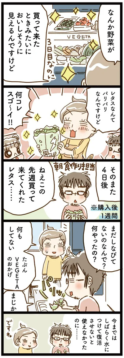 野菜が買ってきたときみたいにおいしそうに見える！