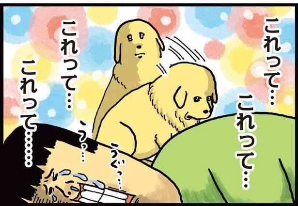 「食べていい？」犬の圧がスゴイ　まめきちまめこニートの日常 こまちとタビ（2）