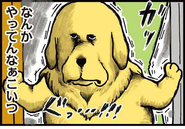 この犬、怒られる準備がプロの技　まめきちまめこニートの日常 こまちとタビ（3）