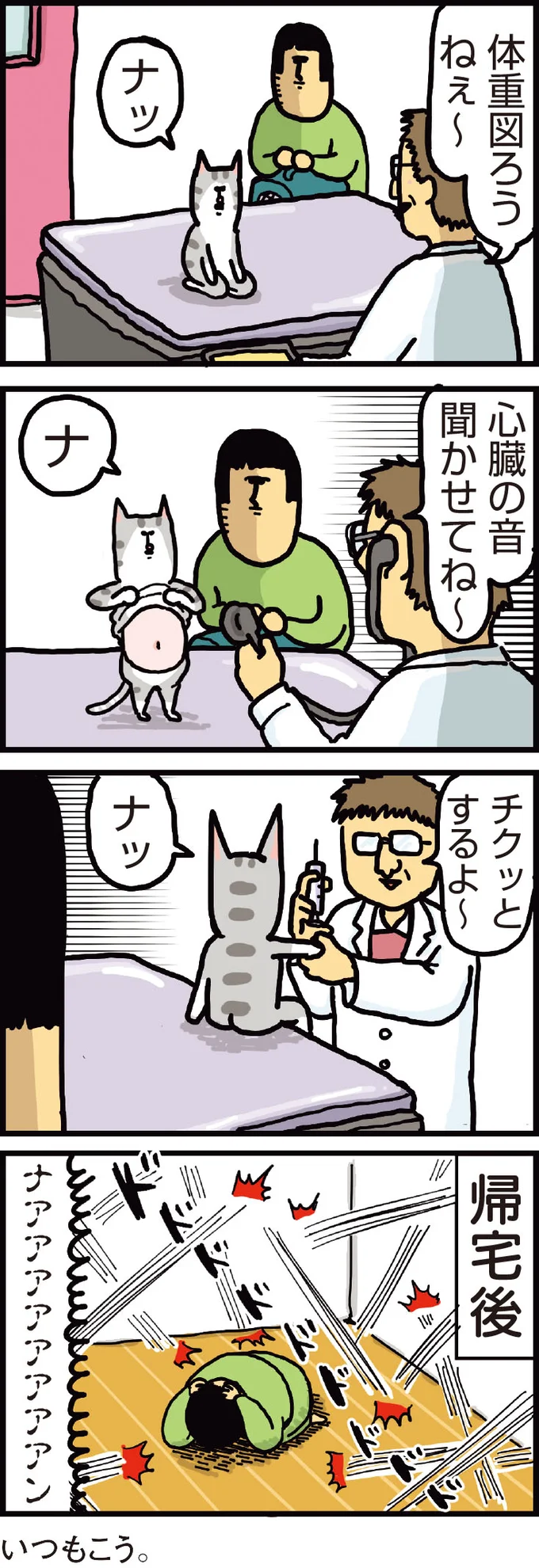 家と病院で違いすぎる猫