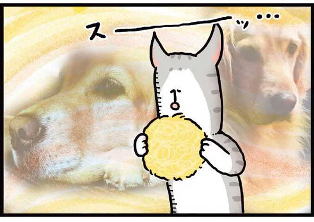 毛玉パラダイスで大はしゃぎ猫　まめきちまめこニートの日常 こまちとタビ（7）
