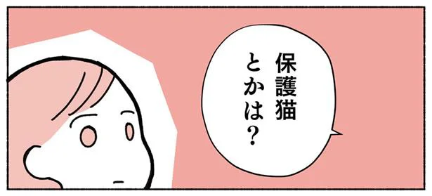 猫を飼いたい…！ペットショップで猫を探していたら　ねこ活はじめました(1)