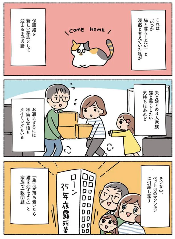 【画像を見る】ねこ活はじめました