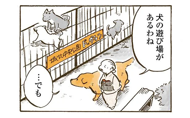 初めてのドッグラン　姫ばあちゃんとナイト(14)