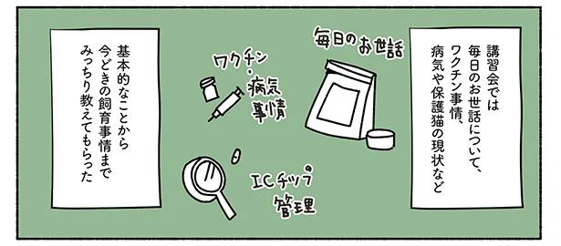 首にチップを…⁉ 動物愛護センターで教えてもらったこと　ねこ活はじめました(3)