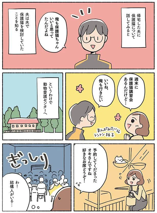 【画像を見る】ねこ活はじめました