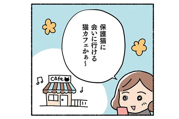 いざ、保護猫に会いに行けるカフェへ　ねこ活はじめました(5)