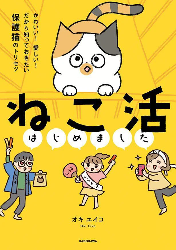 すべての猫が愛おしい、だから幸せになってほしい! 『ねこ活はじめました かわいい! 愛しい! だから知っておきたい保護猫のトリセツ』