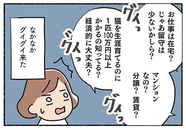 里親希望と伝えたら…怒涛の質問攻め！　ねこ活はじめました(6)
