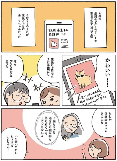 【画像を見る】ねこ活はじめました