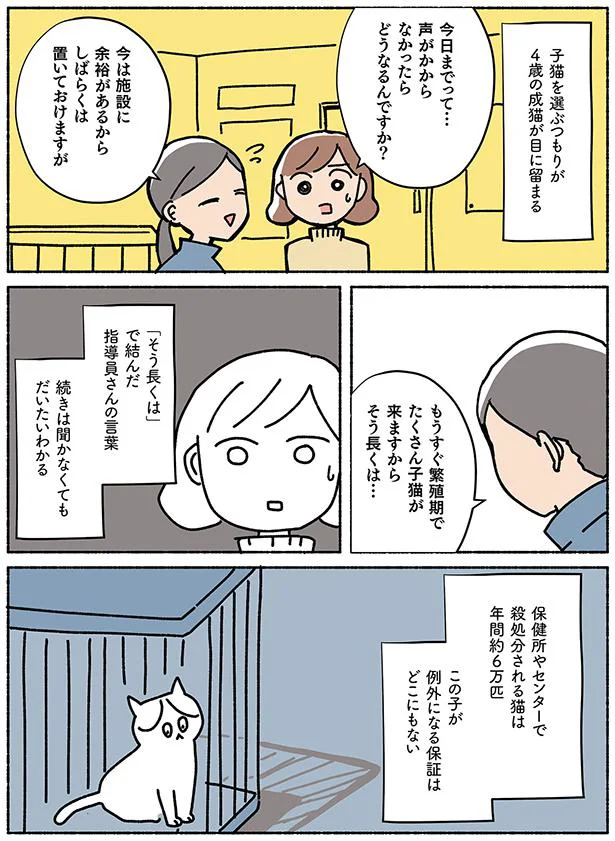 【画像を見る】ねこ活はじめました