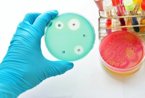 偶然から発見された抗生物質「ペニシリン」　誰かに話したくなる地球の雑学(87)
