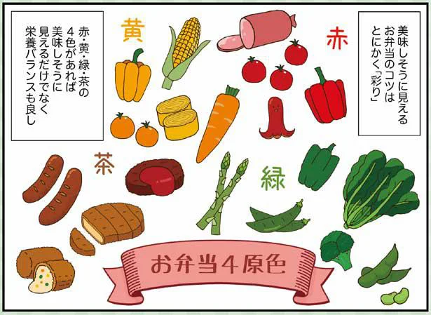 赤・黄・緑・茶のお弁当4原色