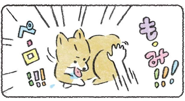 こんなことするのウチの犬だけ？／豆しば こつぶ（2）