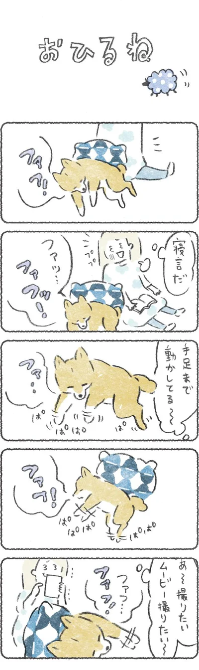 【画像を見る】豆しば こつぶ