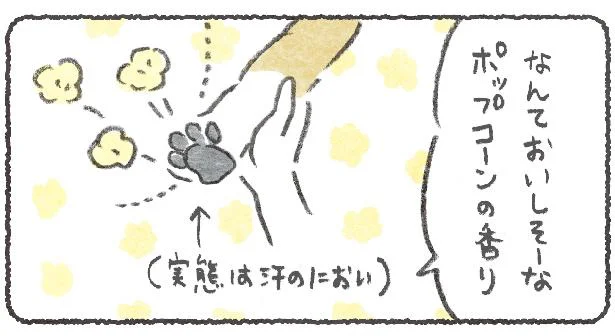 犬の肉球ってたまらない！／豆しば こつぶ（4）