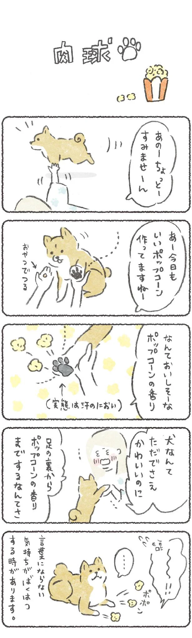 【画像を見る】豆しば こつぶ