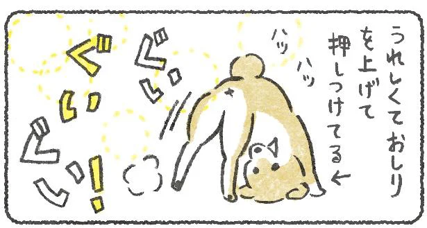 ウチの犬は喜び方が独特すぎる！／豆しば こつぶ（5）
