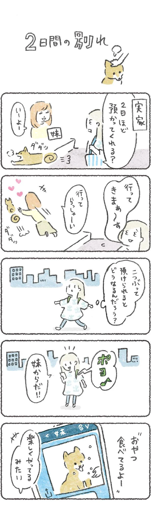 【画像を見る】豆しば こつぶ