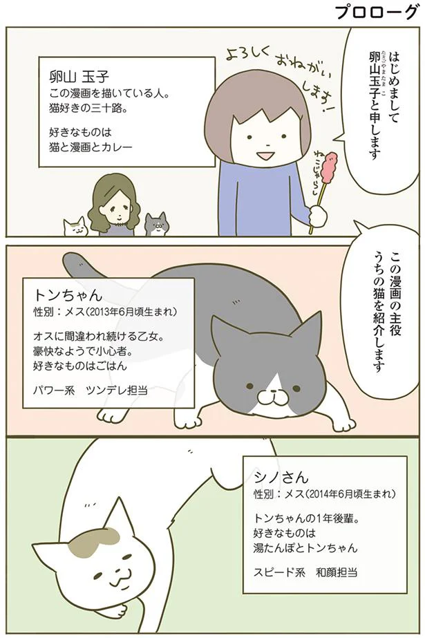 【画像を見る】うちの猫がまた変なことしてる。