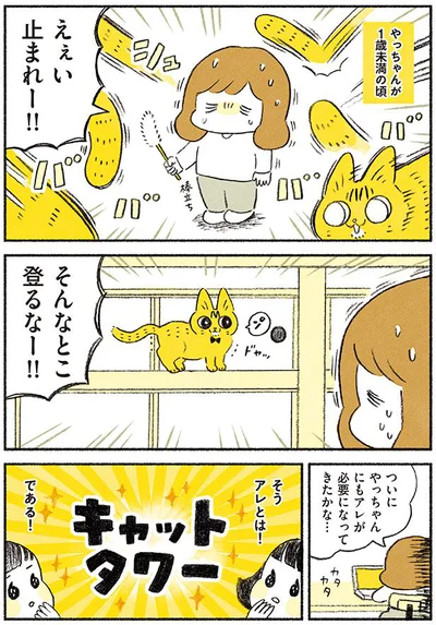 　【画像を見る】茶トラのやっちゃんとちーちゃん