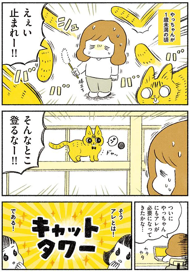 　【画像を見る】茶トラのやっちゃんとちーちゃん