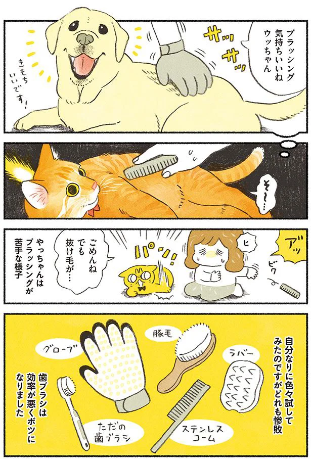 【画像を見る】茶トラのやっちゃんとちーちゃん