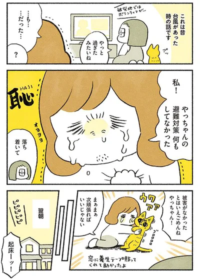 【画像を見る】茶トラのやっちゃんとちーちゃん