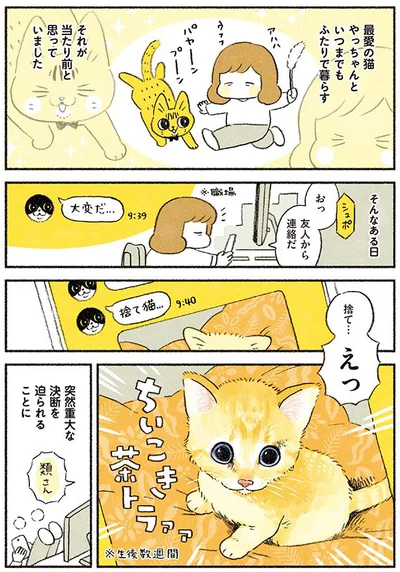 【画像を見る】茶トラのやっちゃんとちーちゃん